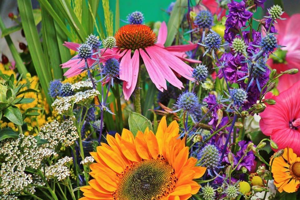 Les fleurs coupées