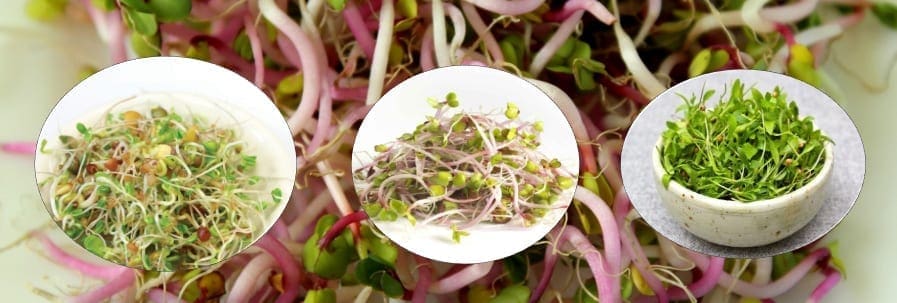 Explorez nos produits par catégories