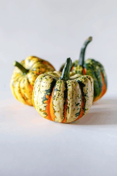 Courge Thriller F1