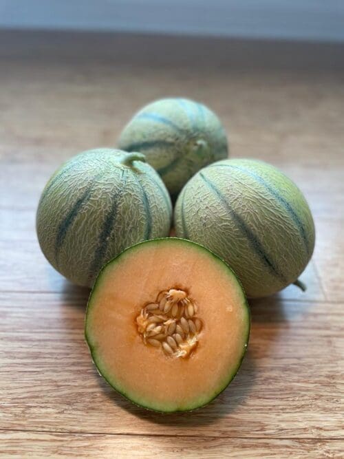  Melon Melonade F1