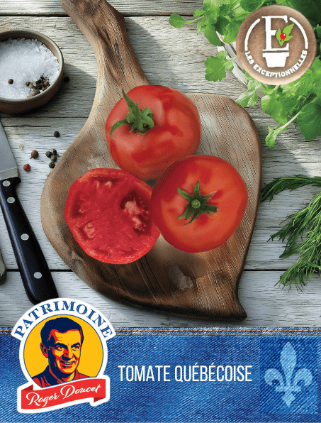  Tomate UltraBec